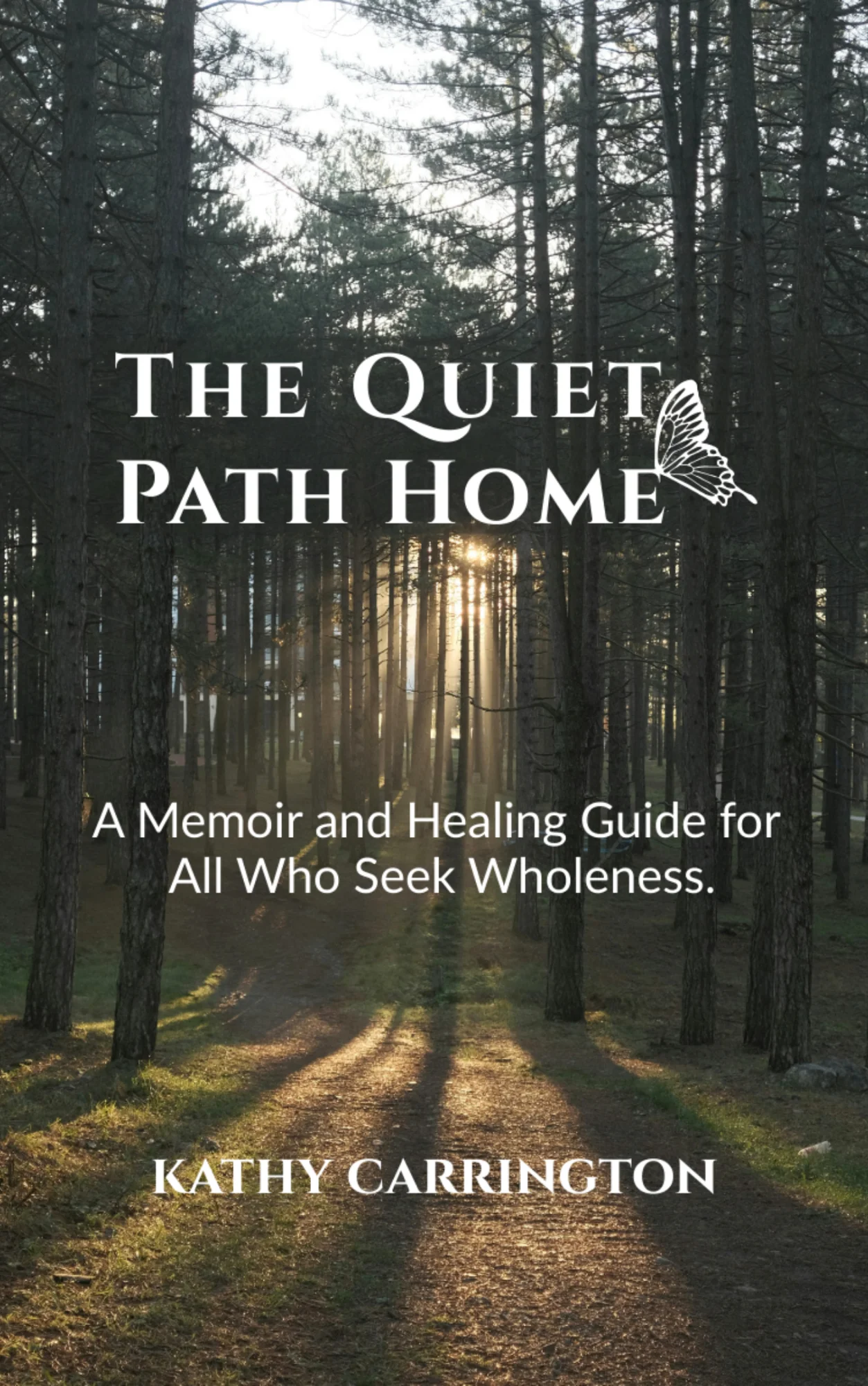The Quiet Path Home book cover